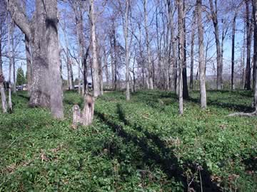 Beulah Plantation Cemetery photo