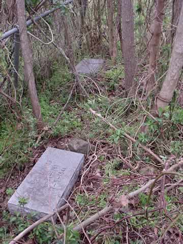 Bonner Family Cemetery photo