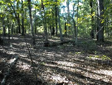 Unnamed graves on old Harper property photo