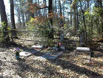 Hawkins Cemetery photo