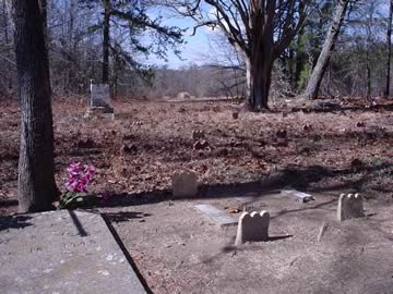 Tollison Cemetery photo