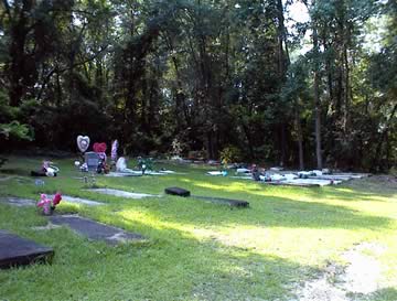 Torrance Chapel Baptist Church Cemetery photo