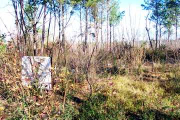 Holsey Memorial Cemetery #1, <br>formerly called Ebenezer photo