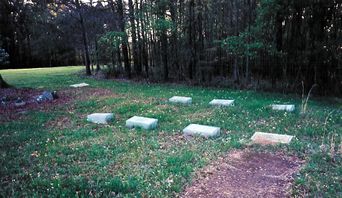Nicholls / Glen Mary Plantation Cemetery photo