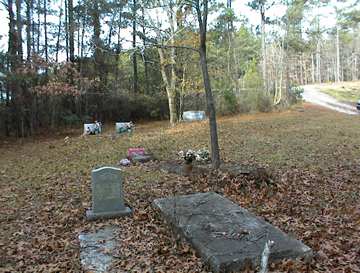 Barnes-Rives-Warren Family Cemetery photo