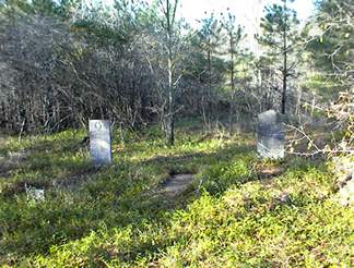 Bethea Family Cemetery photo