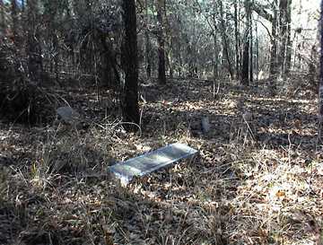 Binion Family Cemetery photo