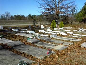 Jones Chapel Cemetery photo