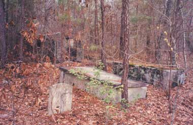 Medlock Family Cemetery photo