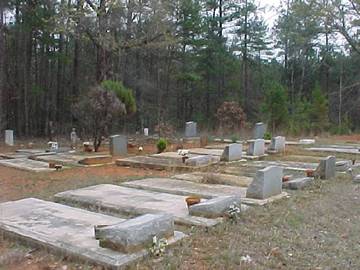 Springfield Cemetery #2 photo