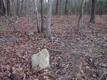 Unnamed Cemetery #17 off Beaver Dam Road photo